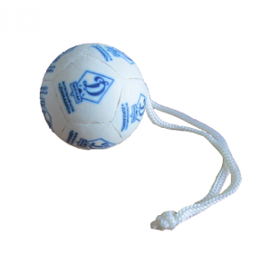 Мяч сувенирный Динамо в интернет-магазине VersusBox.ru