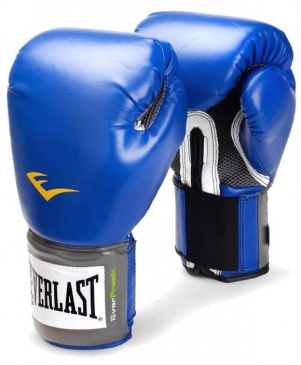 Боксерские перчатки Pu Pro Style Anti-Mb Youth тренировочные синие в интернет-магазине VersusBox.ru