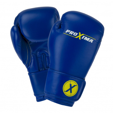 Перчатки боксерские PROXIMA натуральная кожа синие в интернет-магазине VersusBox.ru