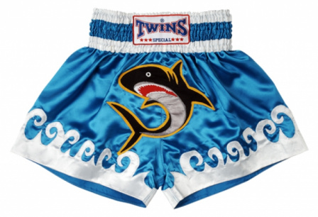 Шорты для тайского бокса Twins tbs-17 сине-белые в интернет-магазине VersusBox.ru
