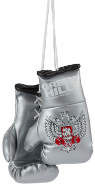  Сувенирные боксерские перчатки Федерация Бокса России серебристые в интернет-магазине VersusBox.ru