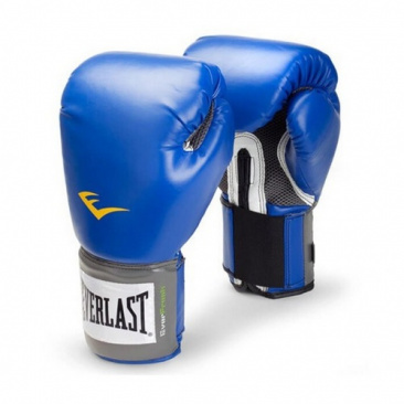 Боксерские перчатки Everlast тренировочные Pu Pro Style Anti-Mb синие в интернет-магазине VersusBox.ru