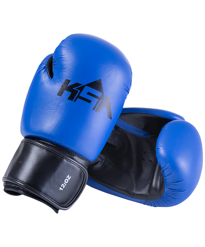 Купить перчатки боксерские spider blue по цене 1 490 ₽ в магазине VersusBox.ru