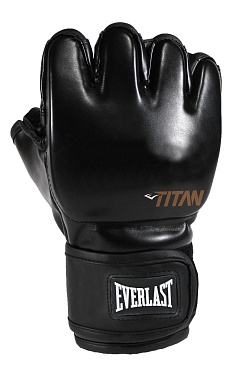 Боксерские перчатки Titan тренировочные черные в интернет-магазине VersusBox.ru