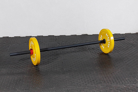 Соревновательный гриф Аксель (Apollon Axle) 20 кг в интернет-магазине VersusBox.ru
