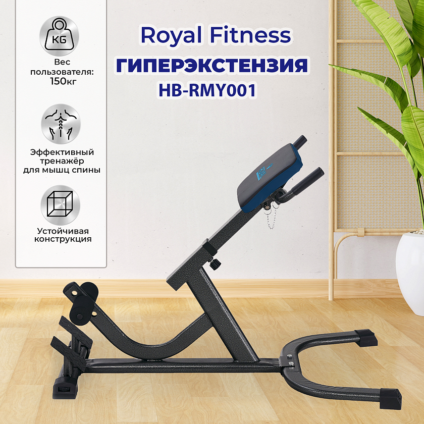 Гиперэкстензия Royal Fitness в интернет-магазине VersusBox.ru